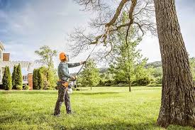 Best Utility Line Clearance  in West Belmar, NJ